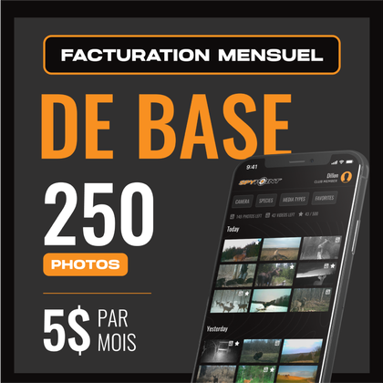 Basic Plan - Monthly