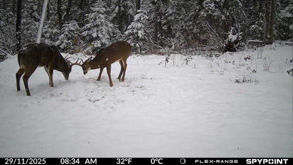 picture take by the FLEX-RANGE camera