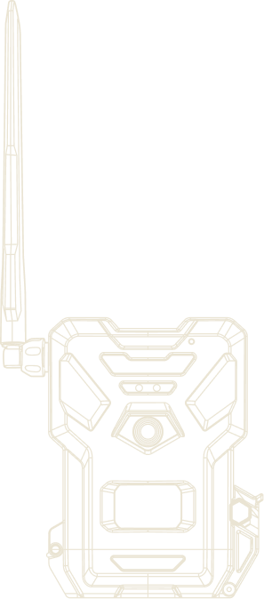 FLEX-RANGE outline