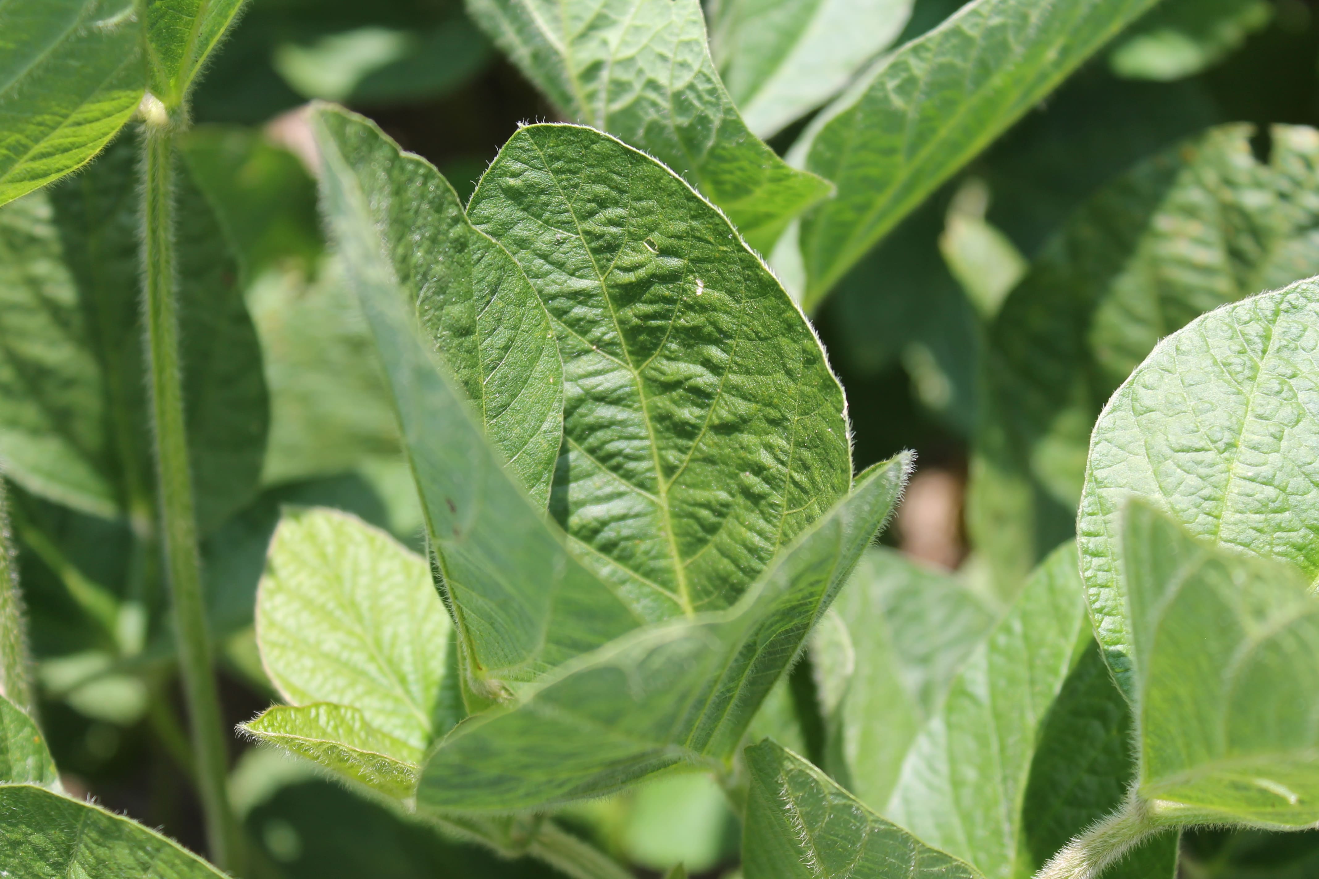 Asking about crop locations, and food plot possibilities, is very important.