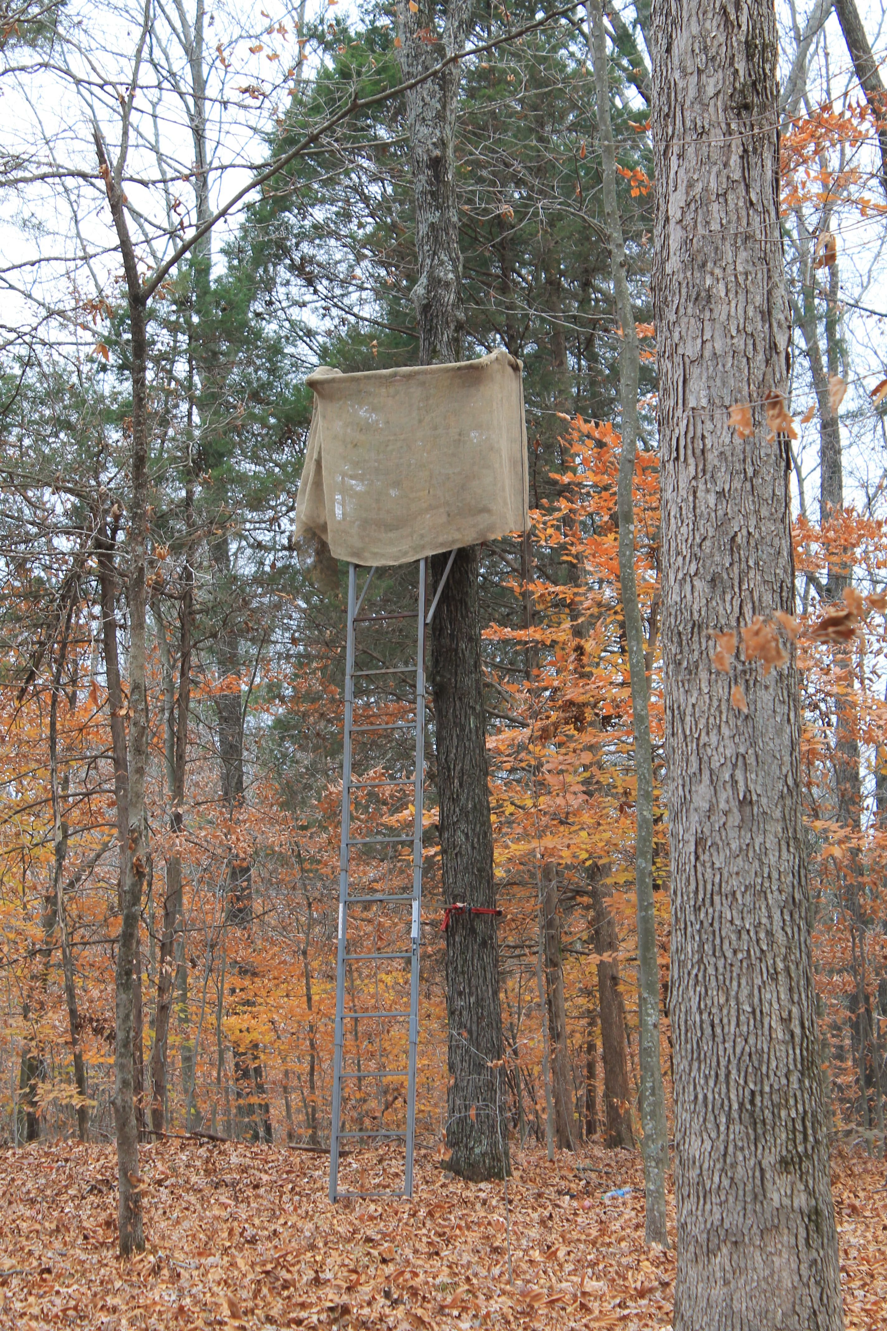 Some landowners have restrictions on treestands and hunting blinds. Ask about these.