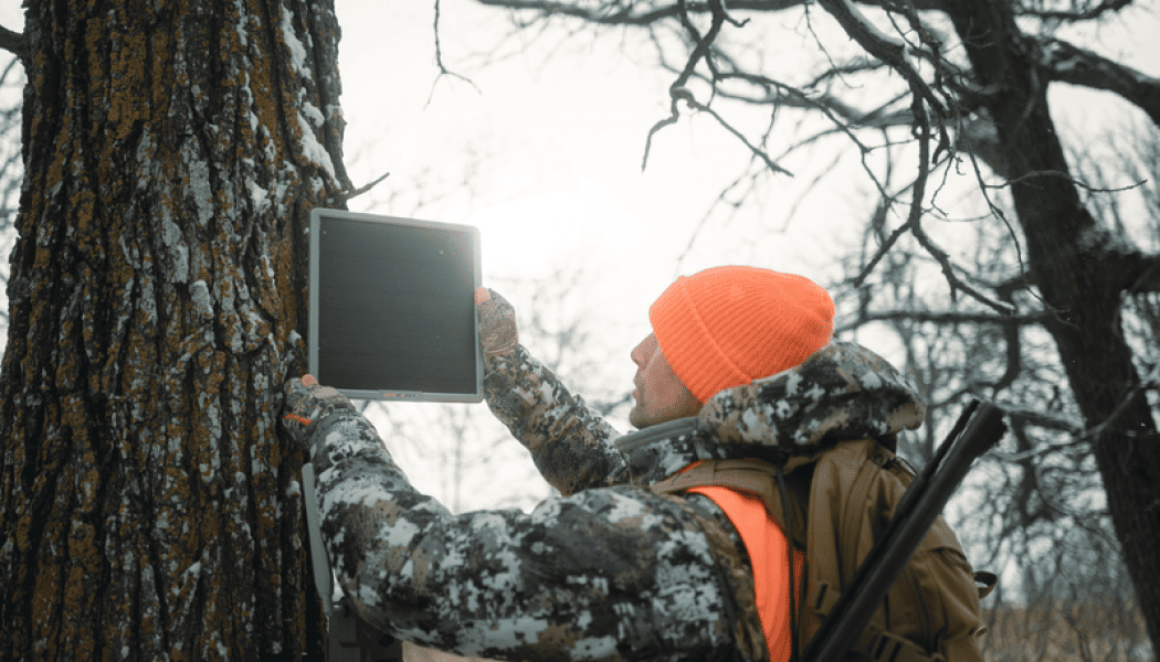 Which Solar Option is Right For You?