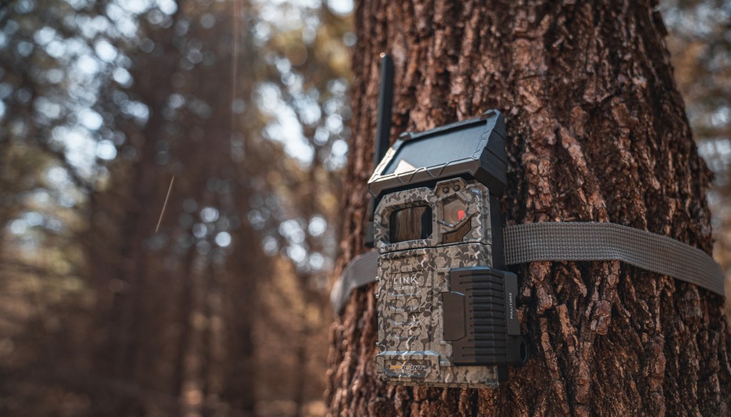Est-ce que les cam&eacute;ras de chasse cellulaires peuvent sauver des vies&thinsp;?