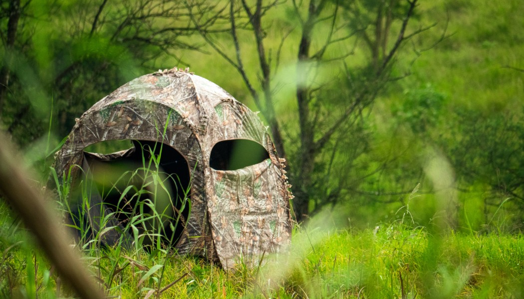 15 Tactiques Insolites pour la Chasse au Cerf