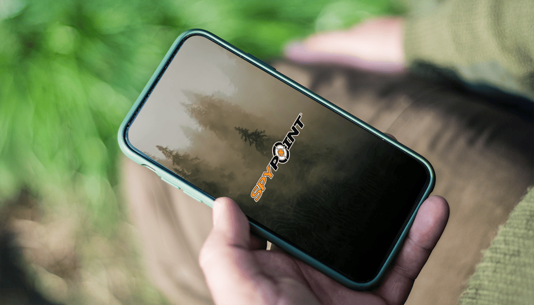 Les donn&eacute;es que vous voulez, comme vous les voulez : Nouvelles fonctionnalit&eacute;s de l'application SPYPOINT sont disponibles