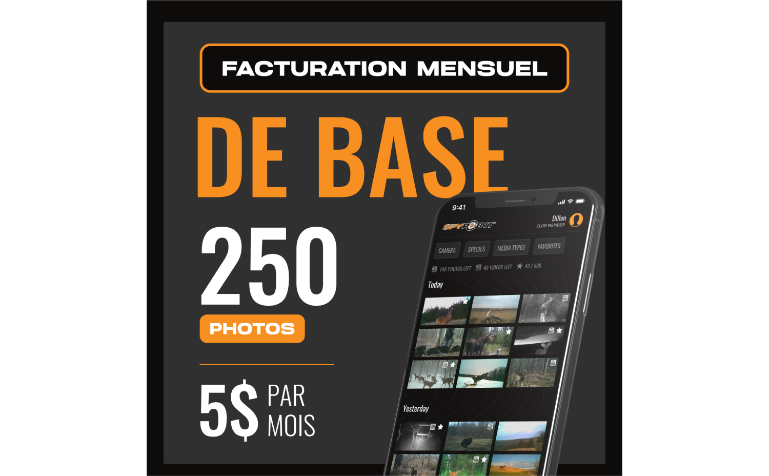 Basic Plan - Monthly